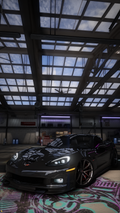 dillz06nelson