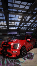 dill23shelbyf150