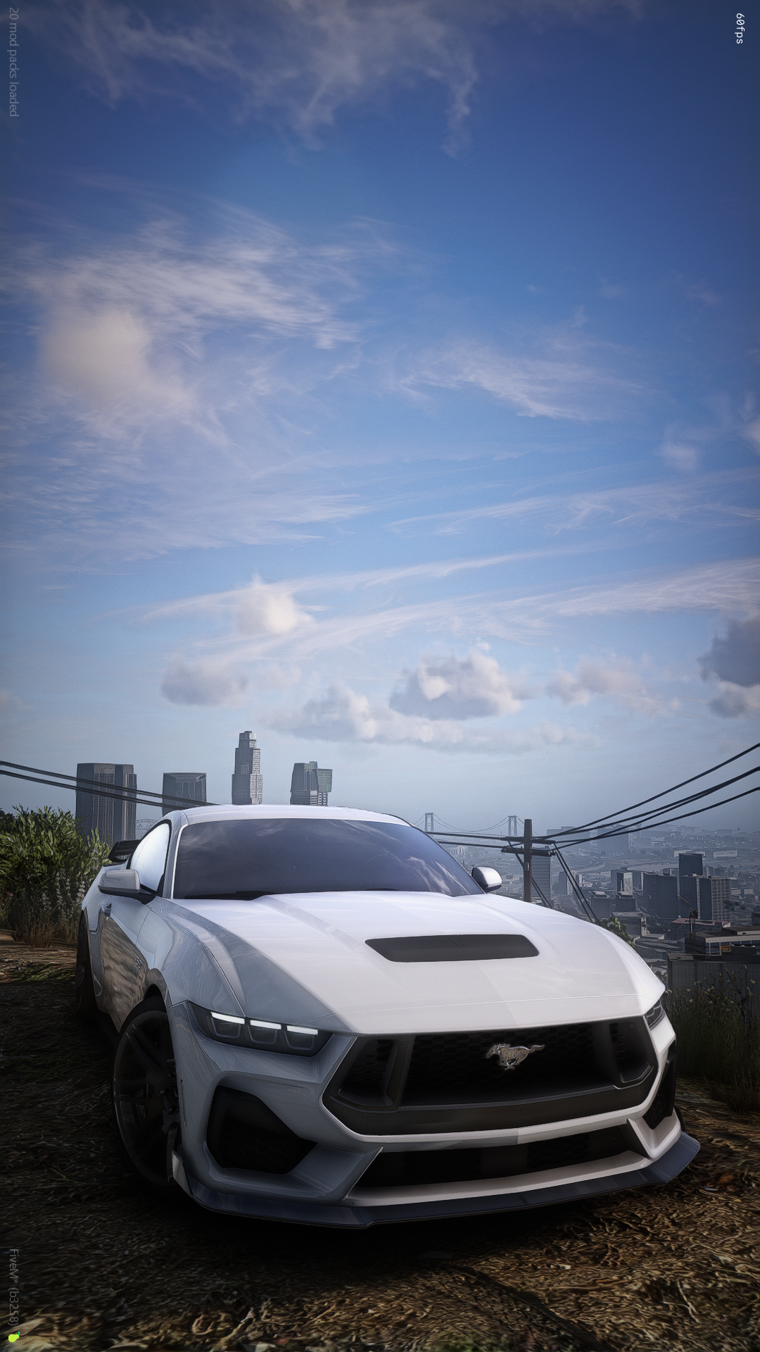 dillyins650