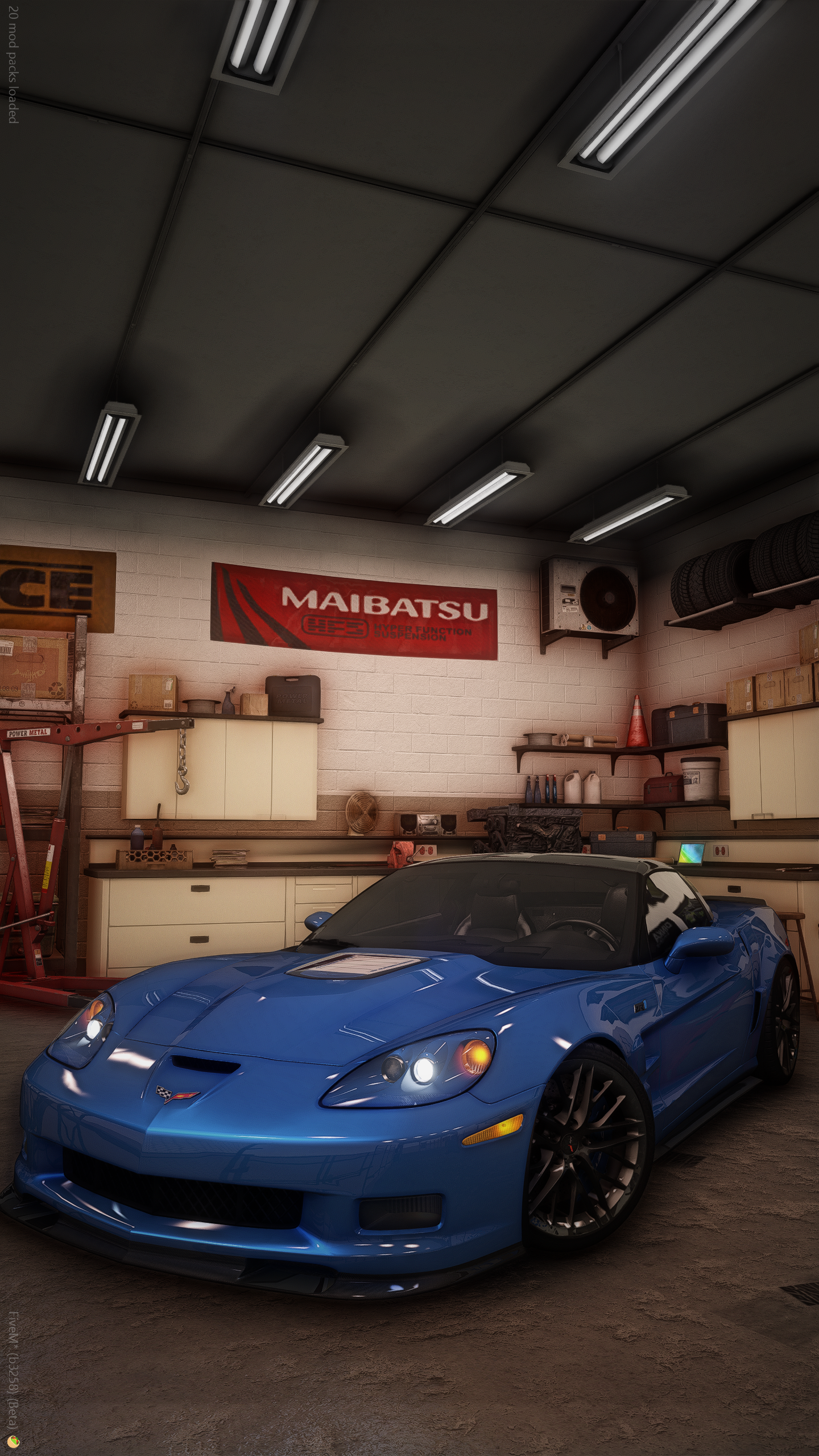 dill09zr1